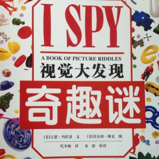 【观察】美国🇺🇸I SPY视觉大发现（奇趣谜）-趣味科普（观察）