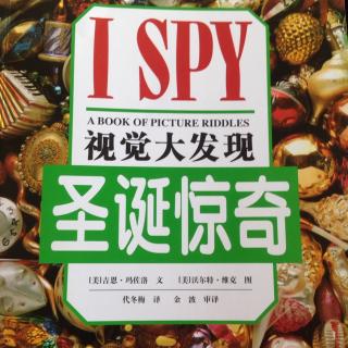 【观察】美国🇺🇸ISPY视觉大发现（圣诞惊奇）-趣味科普（观察）