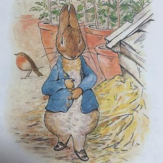 【添妈讲故事】《兔子彼得的故事》/[英]毕翠克丝·波特