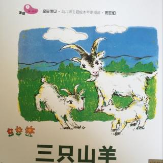 亲亲宝贝-幼儿园主题绘本早期阅读-三只山羊