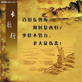 miss宋讲诗歌之《长歌行》