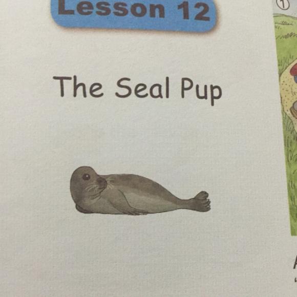 典范英语4a lesson12