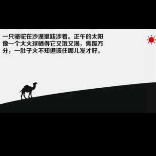 绘本故事《生气的骆驼》