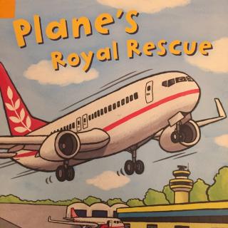 Plane's Royal Rescue ✈️