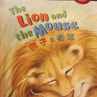【种子树故事屋】轩妈-Danny《狮子和老鼠》双语故事
