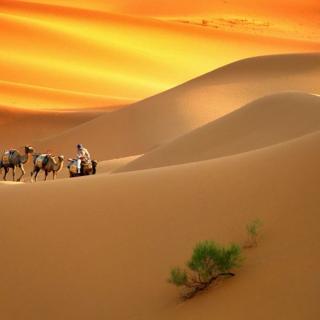 世界上最美的100个地方vol9-塔克拉玛干沙漠