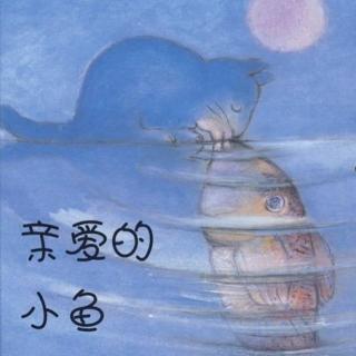 【艾玛读绘本】中文：亲爱的小鱼