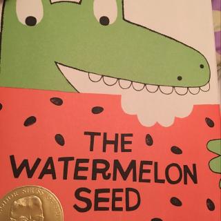 thewatermelonseed