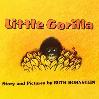 Little Gorilla