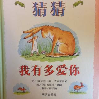 猜猜我有多爱你