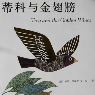 【亲子故事】《蒂科和金翅膀》
