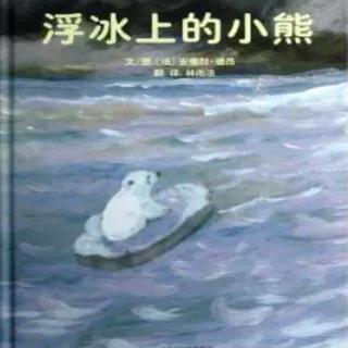 浮冰上的小熊