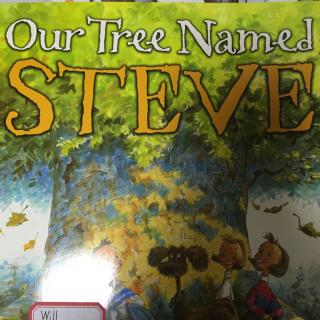 our tree named steve