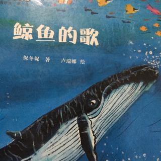 56.   鲸鱼🐳的歌