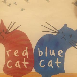 Red Cat Blue Cat 🐱