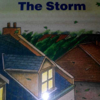牛津阅读树4~12The Storm