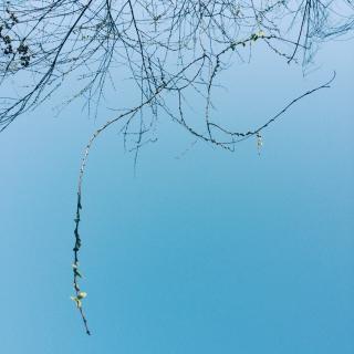 相忘于江湖 简桢