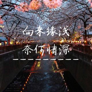 【路终究是要一个人走完的】在线收听_过客-我在北京等你._荔枝fm