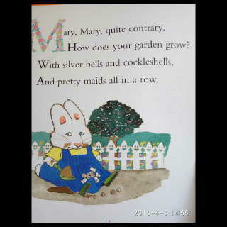 P12 Mary,Mary,quite contrary,