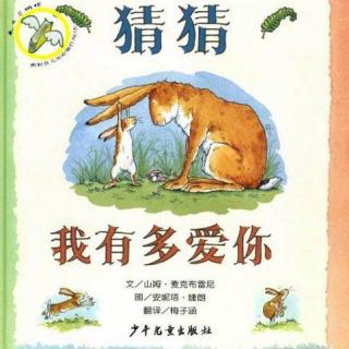 绘本故事《猜猜我有多爱你》