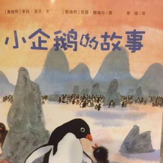 小企鹅的故事-第三集