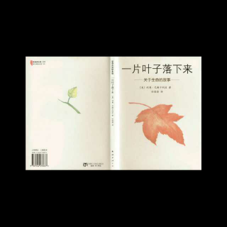 木兰一家的故事书包《一片叶子落下来》
