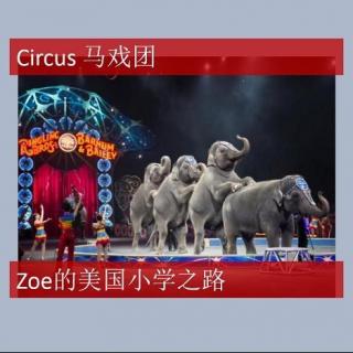 美国小学阅读 Circus带文字