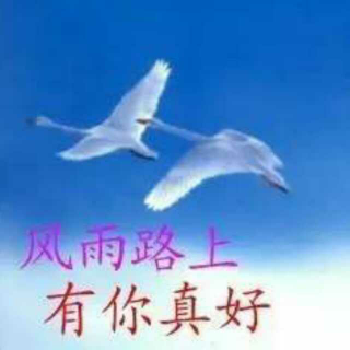 个人感悟《风雨路上，有您真好》