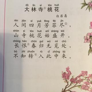 桃花红李花白秦观图片