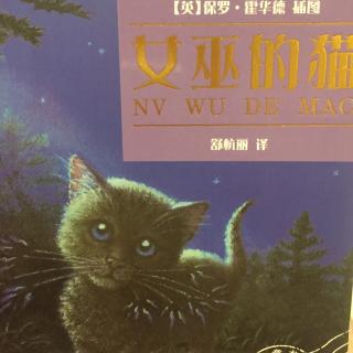 女巫的猫