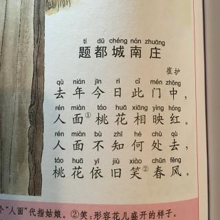 63题都城南庄崔护