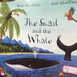 the snail and the whale