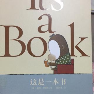 这是一本书