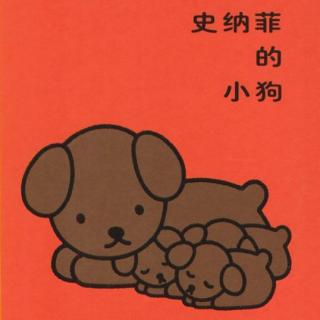 【睡前故事】米菲系列—史纳菲的小狗