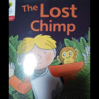 The lost chimp