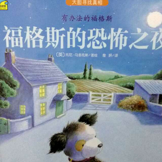 204.《福格斯的恐怖😱之夜》大胆寻找真相