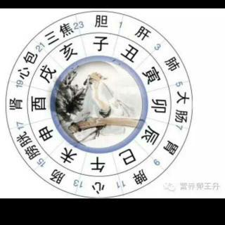 十二时辰养生法(下)