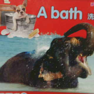 A bath