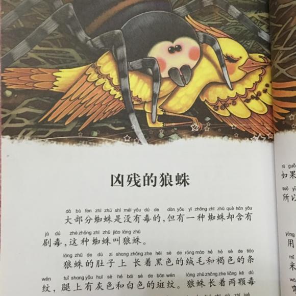 昆虫记:凶残的狼蛛