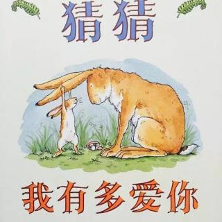 《猜猜我有多爱你》－兔子姐姐讲故事