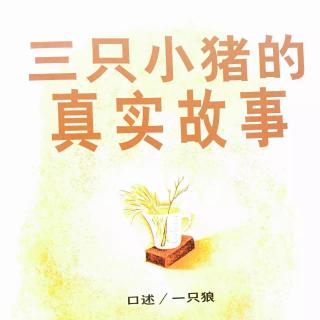  《三只小猪的真实故事》－兔子姐姐讲故事