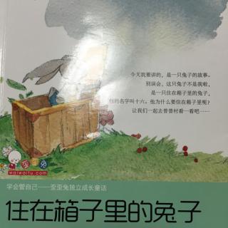 曈学讲故事--住在箱子里的兔子