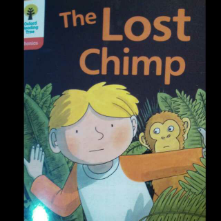 The lost chimp