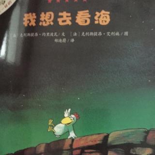 我想去看海🐔