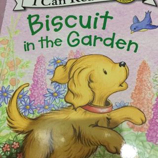 Biscuit in the garden1