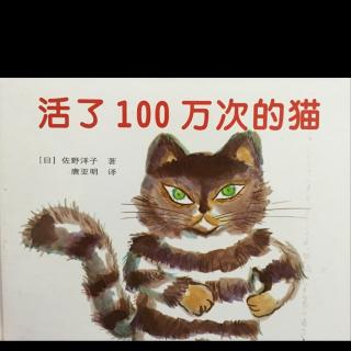 活了100万次的猫