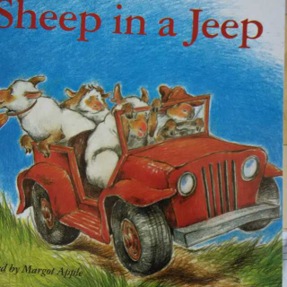 sheep_in_a_jeep7