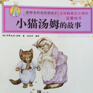 小猫汤姆的故事