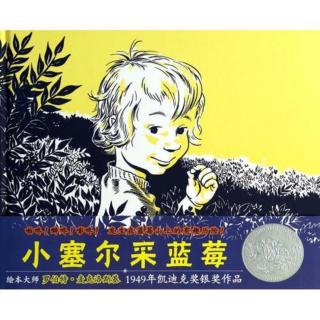 小D讲故事《小塞尔采蓝莓》