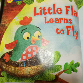 Little  Flap learns to fly